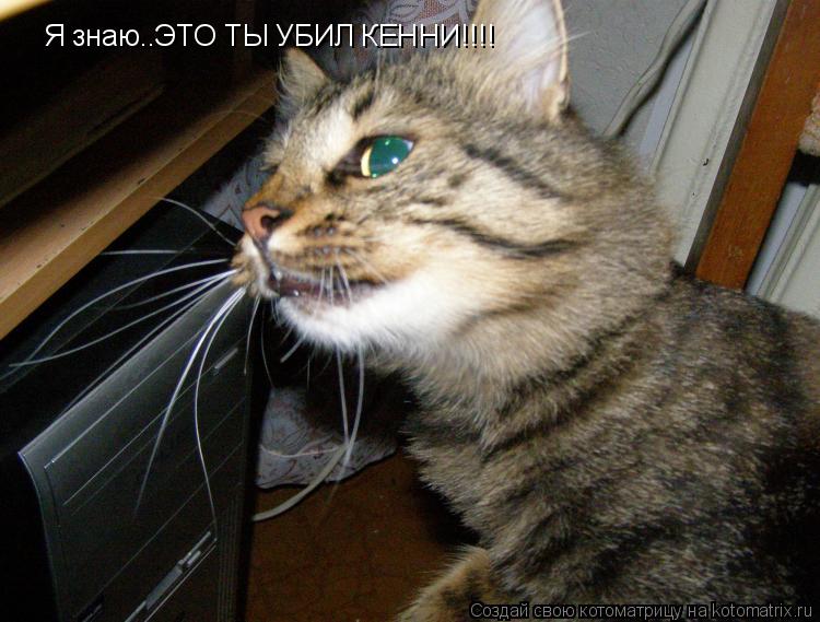 Я знаю..ЭТО ТЫ УБИЛ КЕННИ!!!!... Котоматрица: Я знаю..ЭТО ТЫ УБИЛ КЕННИ!!!!