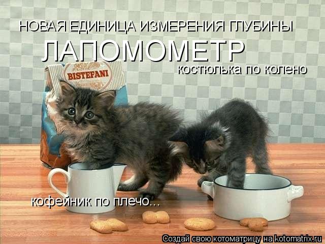 костюлька по колено кофейник по плечо... НОВАЯ ЕДИНИЦА ИЗМЕРЕНИЯ ГЛУБИНЫ ЛАПОМОМЕТР... Котоматрица: костюлька по колено кофейник по плечо... НОВАЯ ЕДИНИЦА ИЗМЕРЕНИЯ ГЛУБИНЫ ЛАПОМОМЕТР