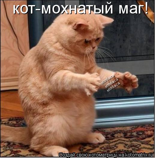 колбаса колбаса колбаса кот-мохнатый маг!... Котоматрица: колбаса колбаса колбаса кот-мохнатый маг!