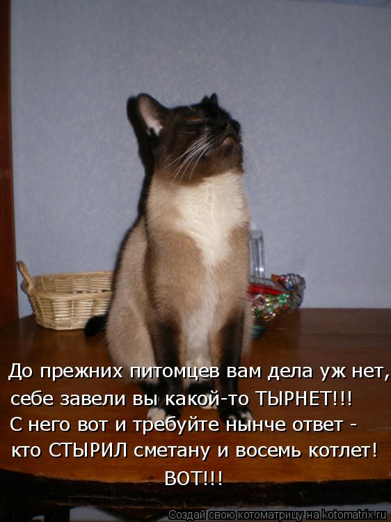 себе завели вы какой-то ТЫРНЕТ!!! До прежних питомцев вам дела уж нет, С него вот и требуйте нынче от... Котоматрица: себе завели вы какой-то ТЫРНЕТ!!! До прежних питомцев вам дела уж нет, С него вот и требуйте нынче ответ - кто СТЫРИЛ сметану и восемь котлет! В