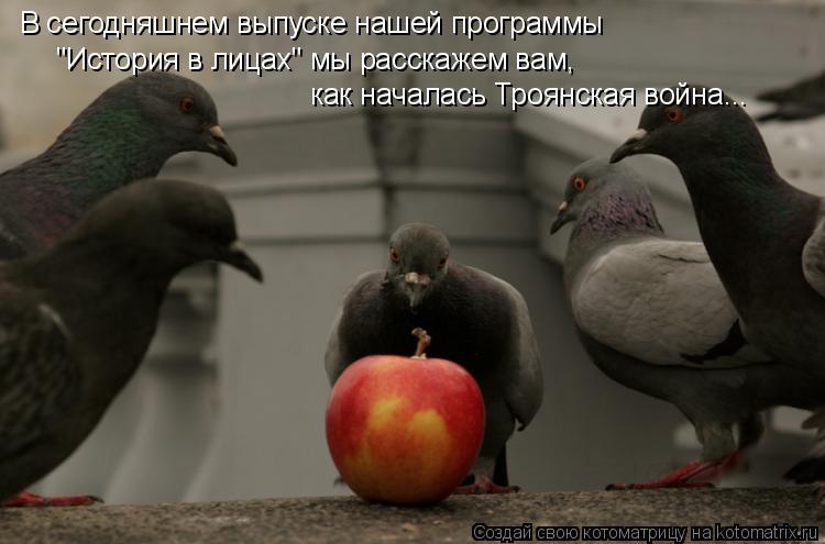 В сегодняшнем выпуске нашей программы "История в лицах" мы расскажем вам, как началась Троянская во... Котоматрица: В сегодняшнем выпуске нашей программы "История в лицах" мы расскажем вам, как началась Троянская война...