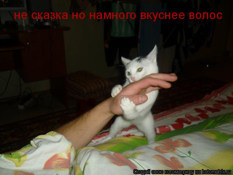 не сказка но намного вкуснее волос... Котоматрица: не сказка но намного вкуснее волос