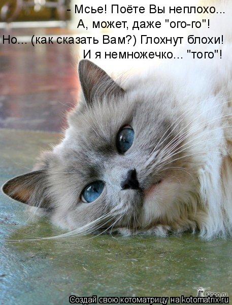 - Мсье! Поёте Вы неплохо... А, может, даже "ого-го"! Но... (как сказать Вам?) Глохнут блохи! И я немн... Котоматрица: - Мсье! Поёте Вы неплохо... А, может, даже "ого-го"! Но... (как сказать Вам?) Глохнут блохи! И я немножечко... "того"!