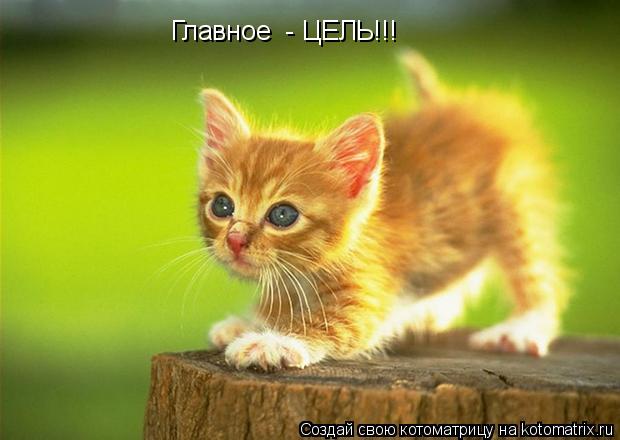 Главное - ЦЕЛЬ!!!... Котоматрица: Главное - ЦЕЛЬ!!!