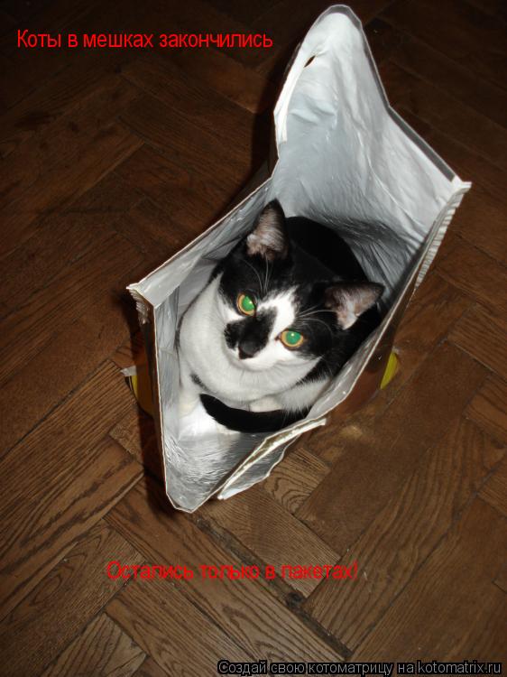 Котоматрица: Коты в мешках закончились Остались только в пакетах!