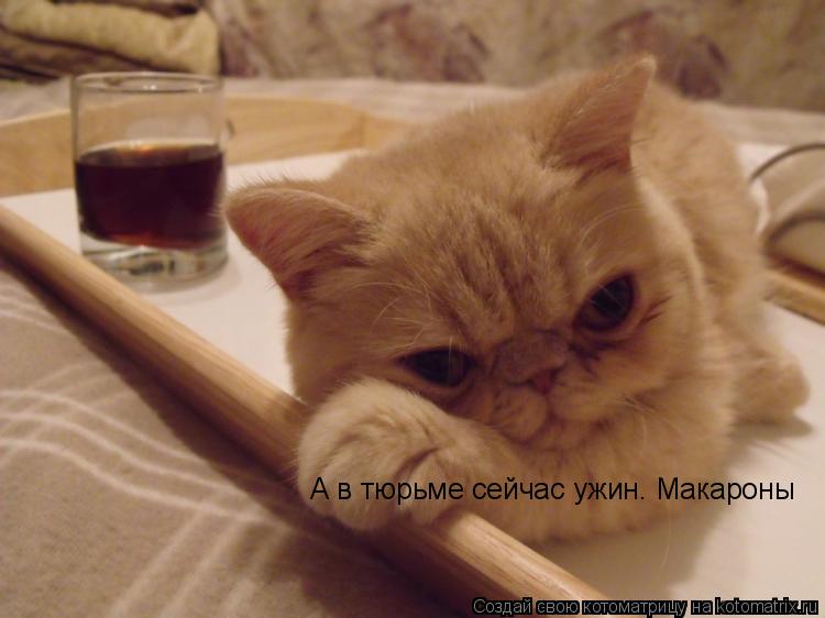 А в тюрьме сейчас ужин. Макароны... Котоматрица: А в тюрьме сейчас ужин. Макароны