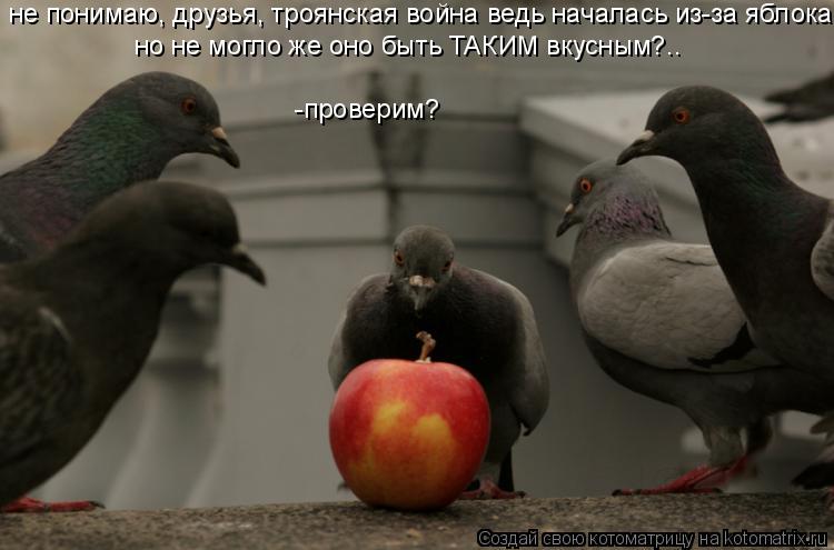 не понимаю не понимаю, друзья, троянская война ведь началась из-за яблока но не могло же оно быть ТА... Котоматрица: не понимаю не понимаю, друзья, троянская война ведь началась из-за яблока но не могло же оно быть ТАКИМ вкусным?.. -проверим?