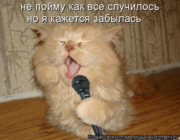 не пойму как все случилось но я кажется забылась... Котоматрица: не пойму как все случилось но я кажется забылась