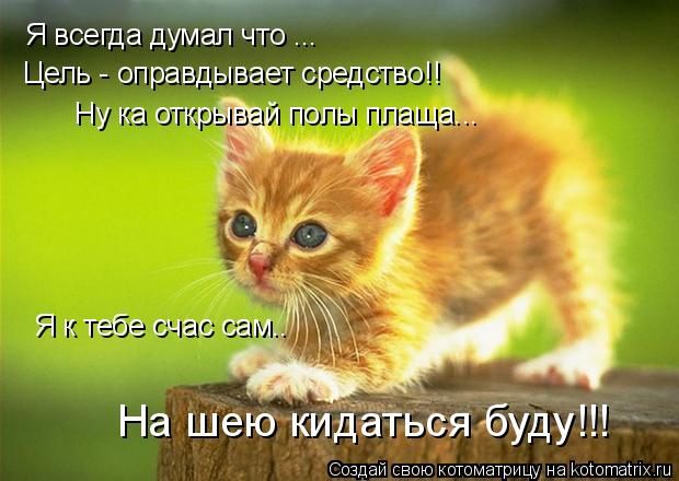 Я всегда думал что ... Цель - оправдывает средство!! Ну ка открывай полы плаща... Я к тебе счас сам..... Котоматрица: Я всегда думал что ... Цель - оправдывает средство!! Ну ка открывай полы плаща... Я к тебе счас сам.. На шею кидаться буду!!!