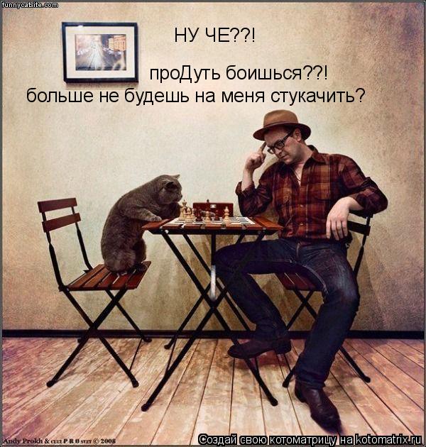 НУ ЧЕ??! проДуть боишься??! больше не будешь на меня стукачить?... Котоматрица: НУ ЧЕ??! проДуть боишься??! больше не будешь на меня стукачить?