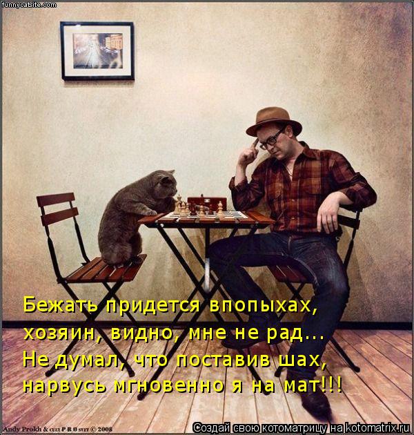 нарвусь мгновенно я на мат!!! хозяин, видно, мне не рад... Бежать придется впопыхах, Не думал, что по... Котоматрица: нарвусь мгновенно я на мат!!! хозяин, видно, мне не рад... Бежать придется впопыхах, Не думал, что поставив шах,