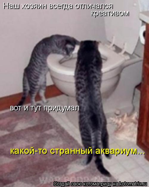 Наш хозяин всегда отличался креативом вот и тут придумал какой-то странный аквариум...... Котоматрица: Наш хозяин всегда отличался креативом вот и тут придумал какой-то странный аквариум...