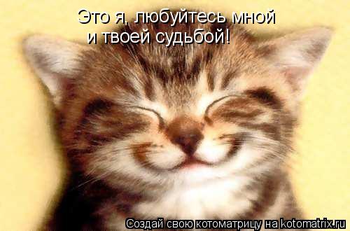 Это я, любуйтесь мной и твоей судьбой!... Котоматрица: Это я, любуйтесь мной и твоей судьбой!