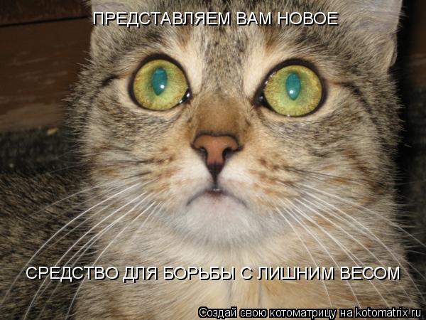 СРЕДСТВО ДЛЯ БОРЬБЫ С ЛИШНИМ ВЕСОМ ПРЕДСТАВЛЯЕМ ВАМ НОВОЕ... Котоматрица: СРЕДСТВО ДЛЯ БОРЬБЫ С ЛИШНИМ ВЕСОМ ПРЕДСТАВЛЯЕМ ВАМ НОВОЕ