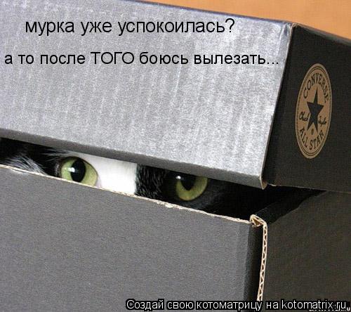 мурка уже успокоилась? а то после ТОГО боюсь вылезать...... Котоматрица: мурка уже успокоилась? а то после ТОГО боюсь вылезать...