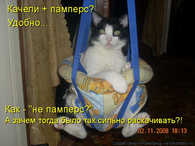 Качели + памперс? Удобно.... Как - "не памперс?" А зачем тогда было так сильно раскачивать?!... Котоматрица: Качели + памперс? Удобно.... Как - "не памперс?" А зачем тогда было так сильно раскачивать?!