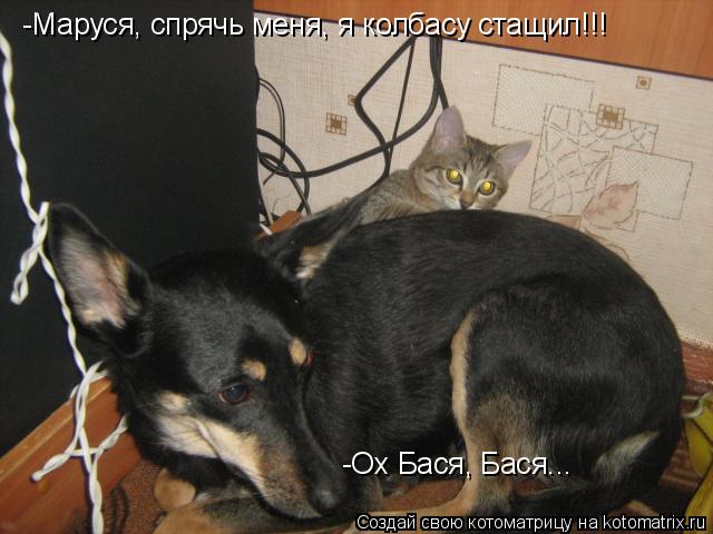 -Маруся, спрячь меня, я колбасу стащил!!! -Ох Бася, Бася...... Котоматрица: -Маруся, спрячь меня, я колбасу стащил!!! -Ох Бася, Бася...