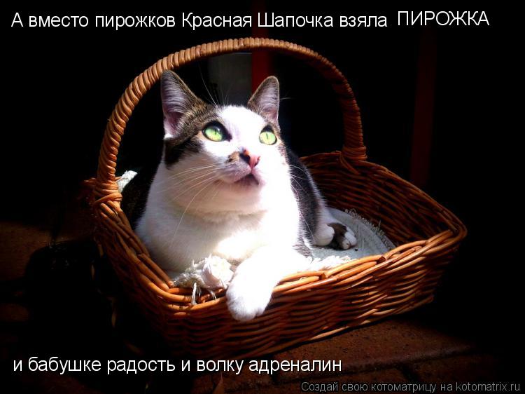 А вместо пирожков Красная Шапочка взяла ПИРОЖКА и бабушке радость и волку адреналин... Котоматрица: А вместо пирожков Красная Шапочка взяла ПИРОЖКА и бабушке радость и волку адреналин