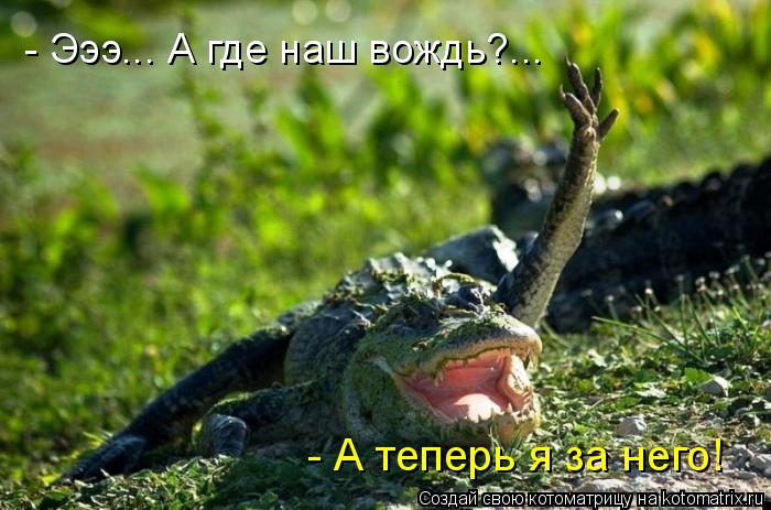 - Эээ... А где наш вождь?... - А теперь я за него!... Котоматрица: - Эээ... А где наш вождь?... - А теперь я за него!