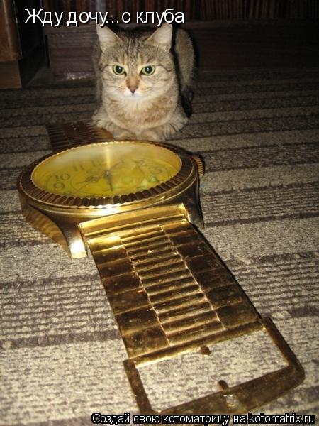 Жду дочу...с клуба... Котоматрица: Жду дочу...с клуба