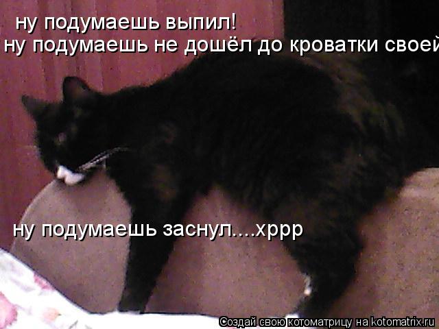 ну подумаешь выпил! ну подумаешь не дошёл до кроватки своей! ну подумаешь заснул....хррр... Котоматрица: ну подумаешь выпил! ну подумаешь не дошёл до кроватки своей! ну подумаешь заснул....хррр
