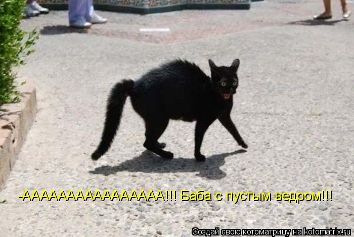 -АААААААААААААААА!!! Баба с пустым ведром!!!... Котоматрица: -АААААААААААААААА!!! Баба с пустым ведром!!!
