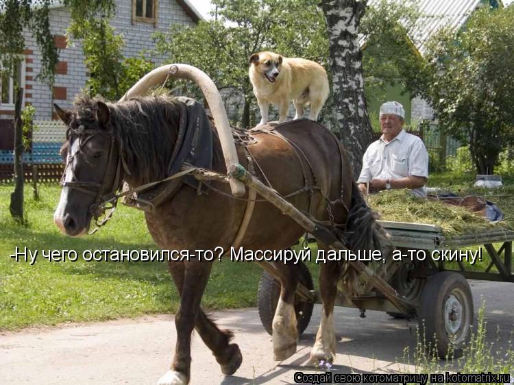-Ну чего остановился-то? Массируй дальше, а-то скину!... Котоматрица: -Ну чего остановился-то? Массируй дальше, а-то скину!