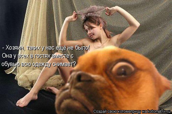 Котоматрица: - Хозяин, таких у нас ещё не было! обувью всю одежду снимает? Она у всех в гостях вместе с