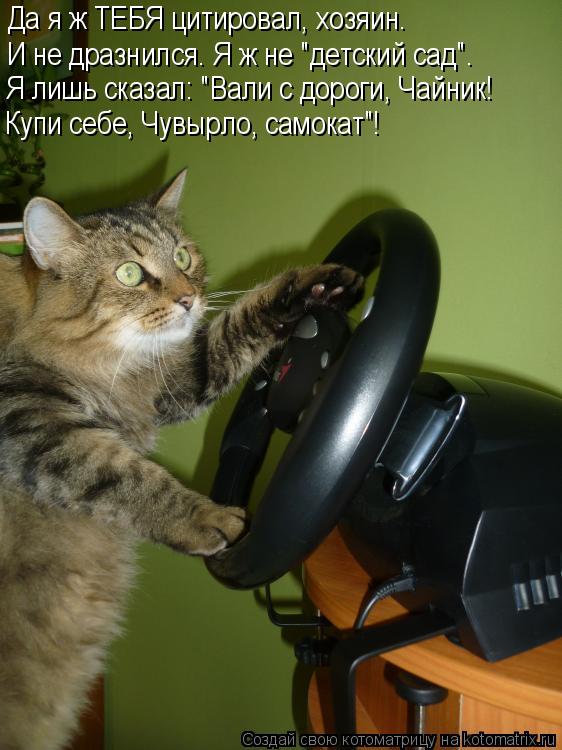 Котоматрица: И не дразнился. Я ж не "детский сад". Я лишь сказал: "Вали с дороги, Чайник! Да я ж ТЕБЯ цитировал, хозяин. Купи себе, Чувырло, самокат"!