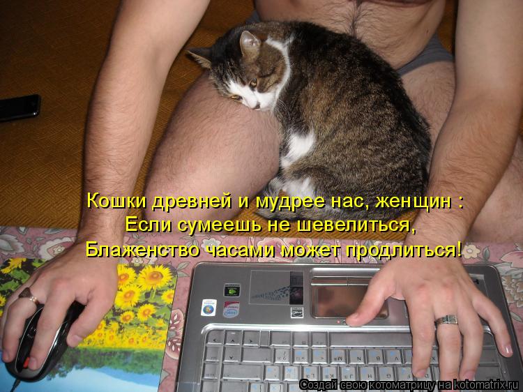 Если сумеешь не шевелиться, Блаженство часами может продлиться! Кошки древней и мудрее нас, женщин :... Котоматрица: Если сумеешь не шевелиться, Блаженство часами может продлиться! Кошки древней и мудрее нас, женщин :
