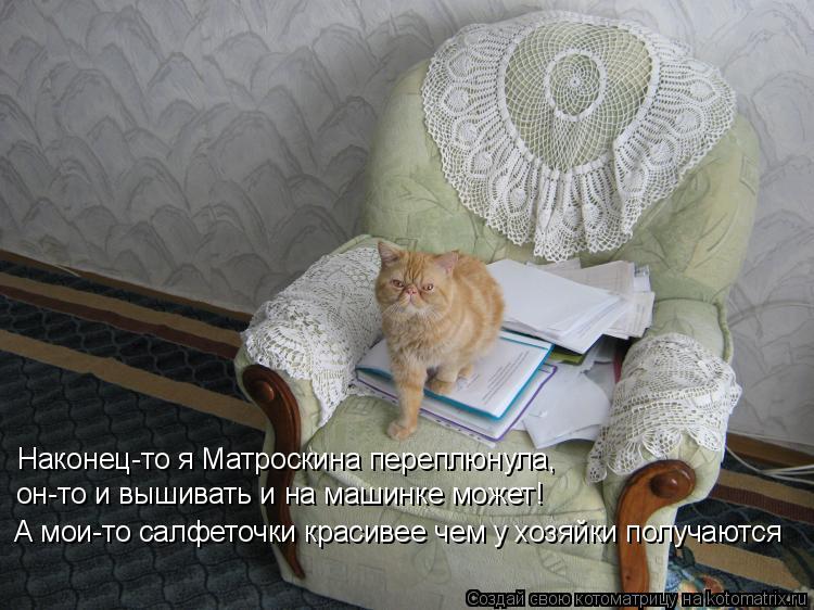 Котоматрица: Наконец-то я Матроскина переплюнула,  он-то и вышивать и на машинке может! А мои-то салфеточки красивее чем у хозяйки получаются