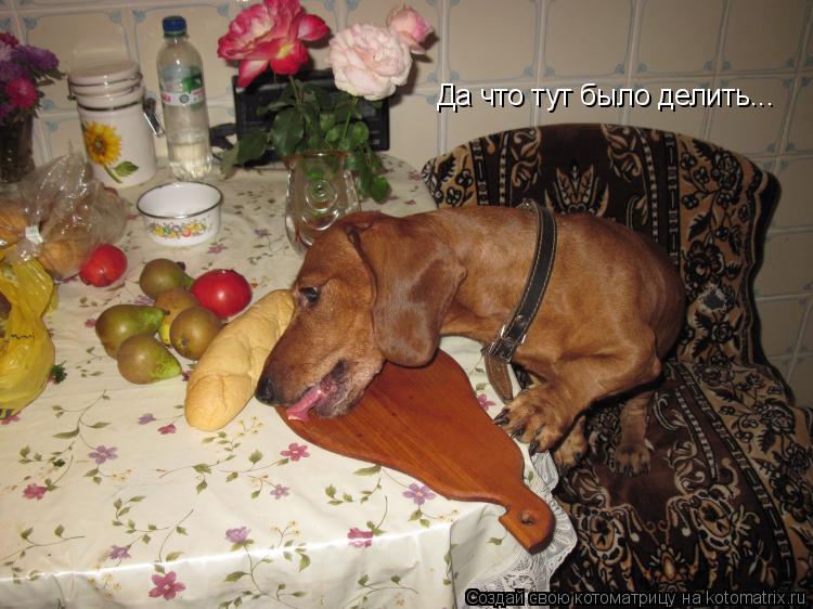 Котоматрица: Да что тут было делить...