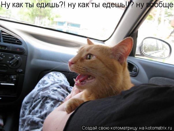 Котоматрица: Ну как ты едишь?! ну как ты едешь!!? ну вообще!!