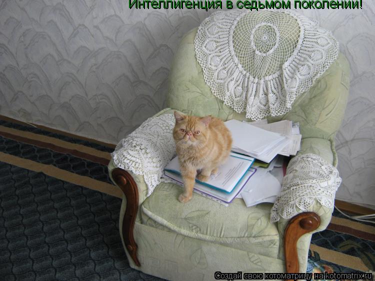 Котоматрица: Интеллигенция в седьмом поколении!