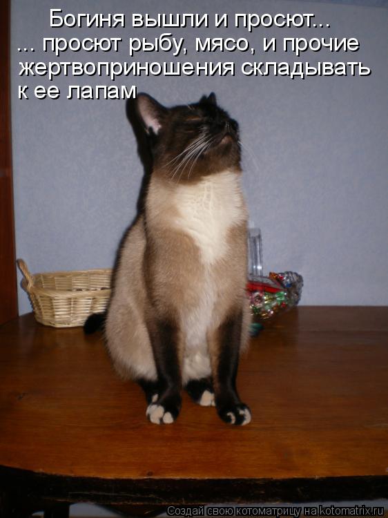 Котоматрица: Богиня вышли и просют... ... просют рыбу, мясо, и прочие жертвоприношения складывать к ее лапам