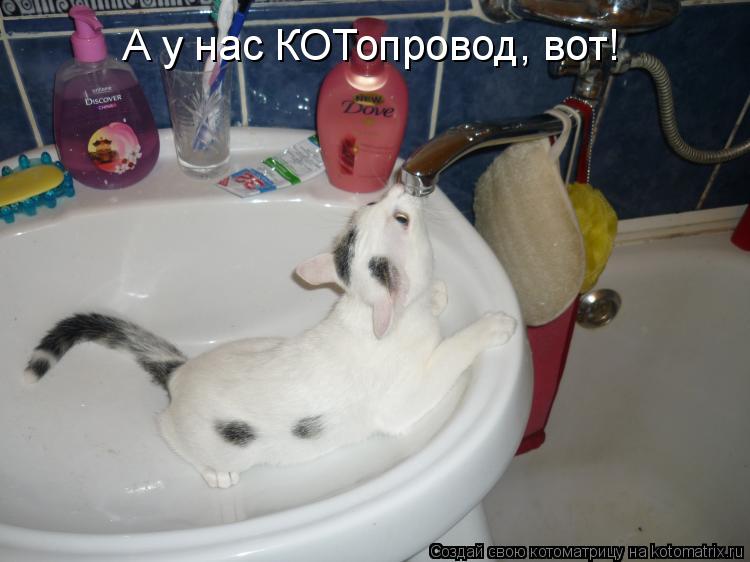 Котоматрица: А у нас КОТопровод, вот!
