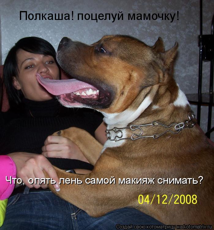 Полкаша! поцелуй мамочку! Что, опять лень самой макияж снимать?... Котоматрица: Полкаша! поцелуй мамочку! Что, опять лень самой макияж снимать?