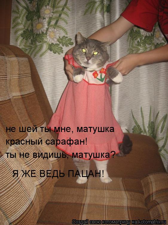 не шей ты мне, матушка красный сарафан! ты не видишь, матушка? Я ЖЕ ВЕДЬ ПАЦАН!... Котоматрица: не шей ты мне, матушка красный сарафан! ты не видишь, матушка? Я ЖЕ ВЕДЬ ПАЦАН!