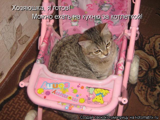 Котоматрица: Хозяюшка, я готов! Можно ехать на кухню за котлеткой!