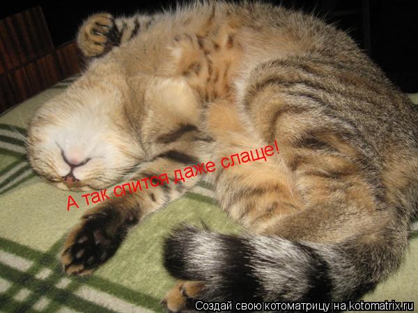 Котоматрица: А так спится даже слаще! А так спится даже слаще!