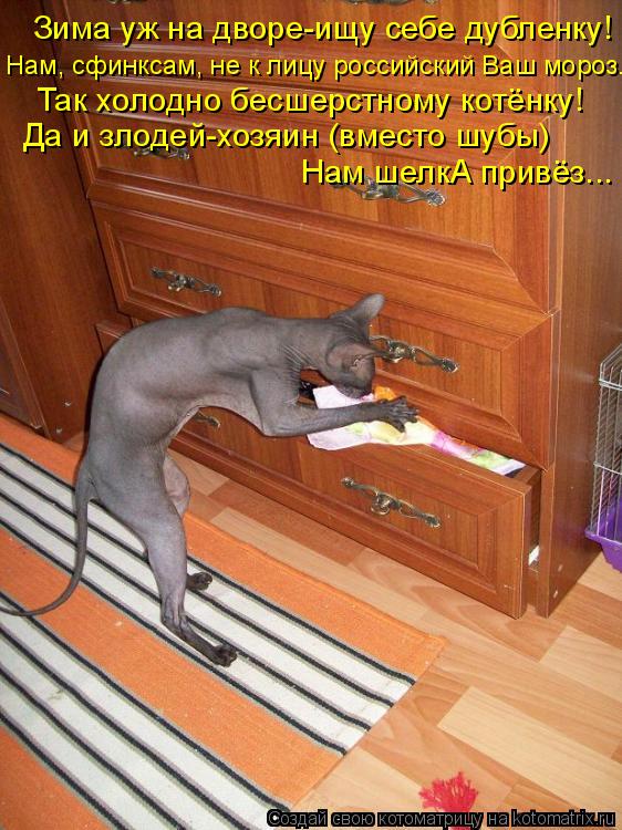 Котоматрица: Зима уж на дворе-ищу себе дубленку! Нам, сфинксам, не к лицу российский Ваш мороз. Так холодно бесшерстному котёнку! Нам шелкА привёз... Да и з