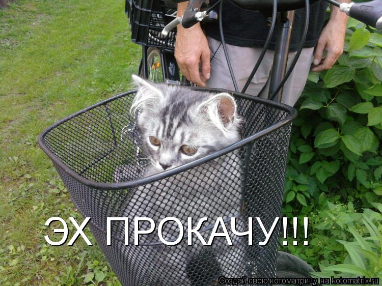 Котоматрица: ЭХ ПРОКАЧУ!!!