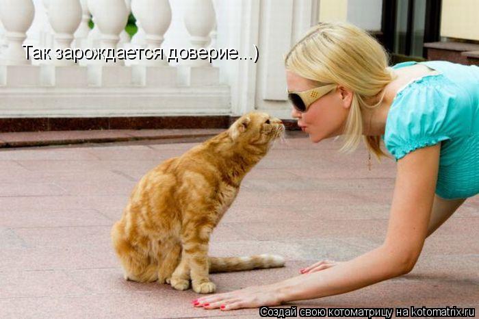 Котоматрица: Так зарождается доверие...) Так зарождается доверие...)