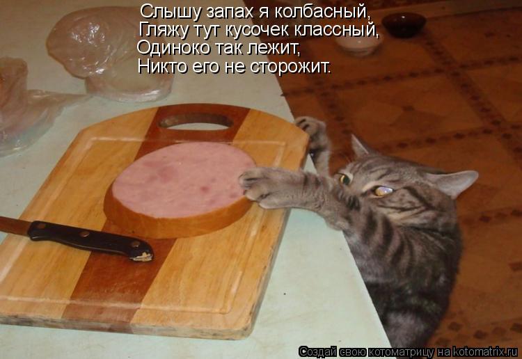 Котоматрица: Слышу запах я колбасный, Гляжу тут кусочек классный, Одиноко так лежит, Никто его не сторожит.