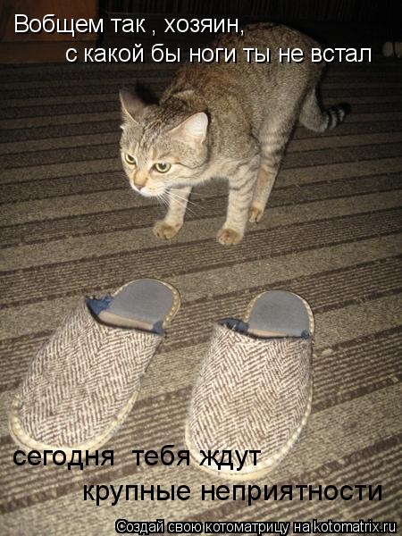 Вобщем так , хозяин, с какой бы ноги ты не встал крупные неприятности сегодня тебя ждут сегодня те... Котоматрица: Вобщем так , хозяин, с какой бы ноги ты не встал крупные неприятности сегодня тебя ждут сегодня тебя ждут