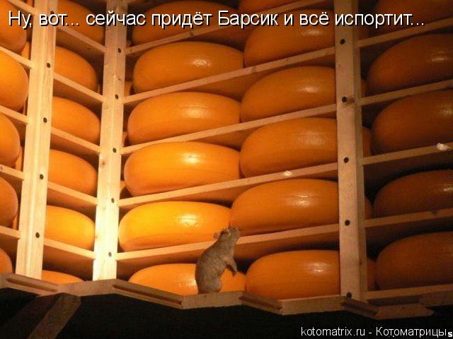 Котоматрица: Ну, вот... сейчас придёт Барсик и всё испортит...