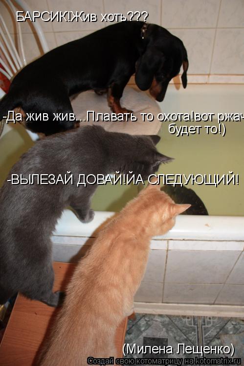 БАРСИК!Жив хоть??? -Да жив жив...Плавать то охота!вот ржачь будет то!) будет то!) -ВЫЛЕЗАЙ ДОВАЙ!ЙА С... Котоматрица: БАРСИК!Жив хоть??? -Да жив жив...Плавать то охота!вот ржачь будет то!) будет то!) -ВЫЛЕЗАЙ ДОВАЙ!ЙА СЛЕДУЮЩИЙ! (Милена Лещенко)