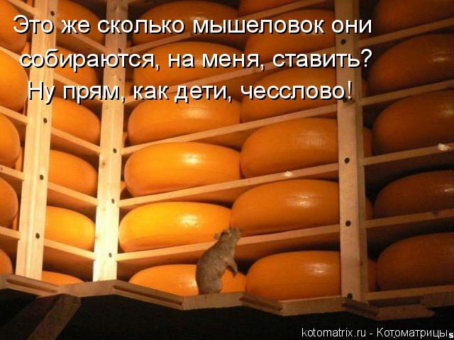 Это же сколько мышеловок они собираются, на меня, ставить? Ну прям, как дети, чесслово!... Котоматрица: Это же сколько мышеловок они собираются, на меня, ставить? Ну прям, как дети, чесслово!