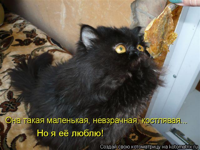 Но я её люблю! Она такая маленькая, невзрачная, костлявая...... Котоматрица: Но я её люблю! Она такая маленькая, невзрачная, костлявая...