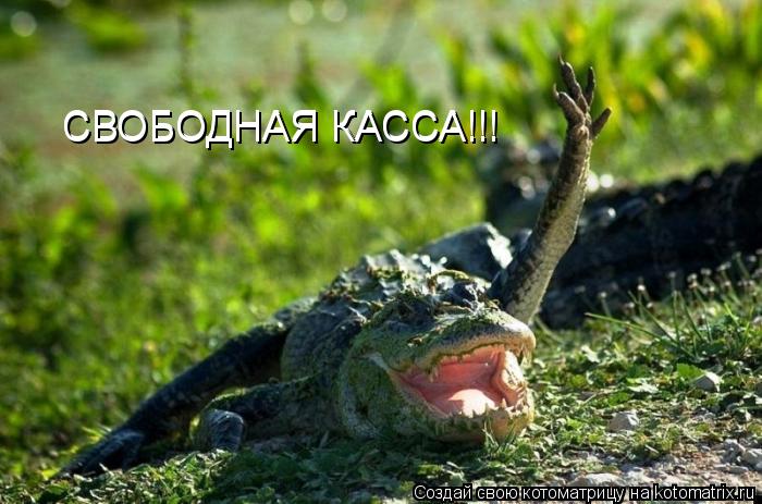 Котоматрица: СВОБОДНАЯ КАССА!!! СВОБОДНАЯ КАССА!!!